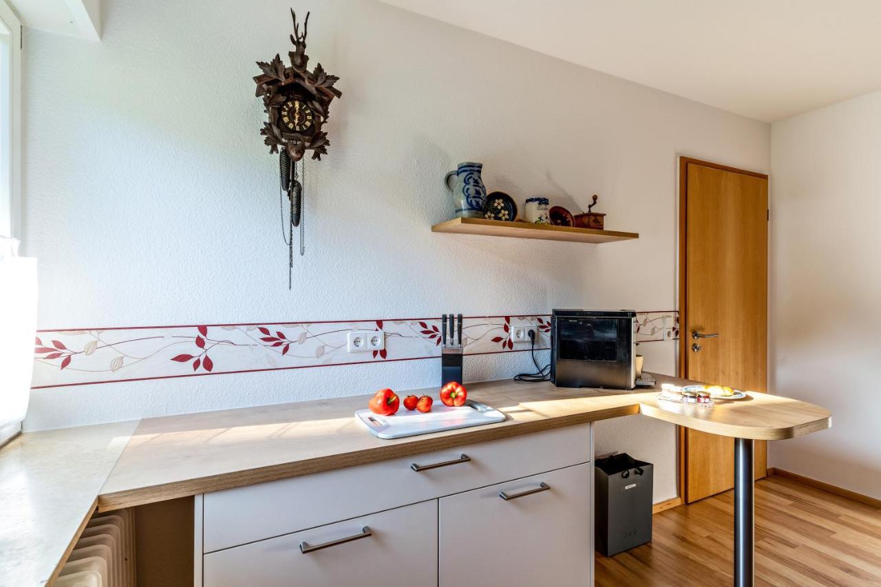 Ferienwohnung Kuckucksnest Lahr  Zewnętrze zdjęcie